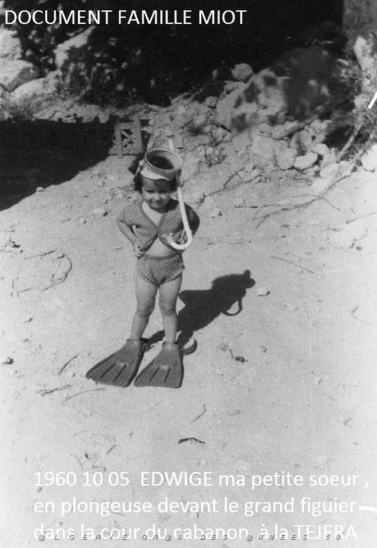 Oran- SDV- 7067- 1960 10 05 EDWIGE ma petite soeur COURS DE PLONGEE -.JPG